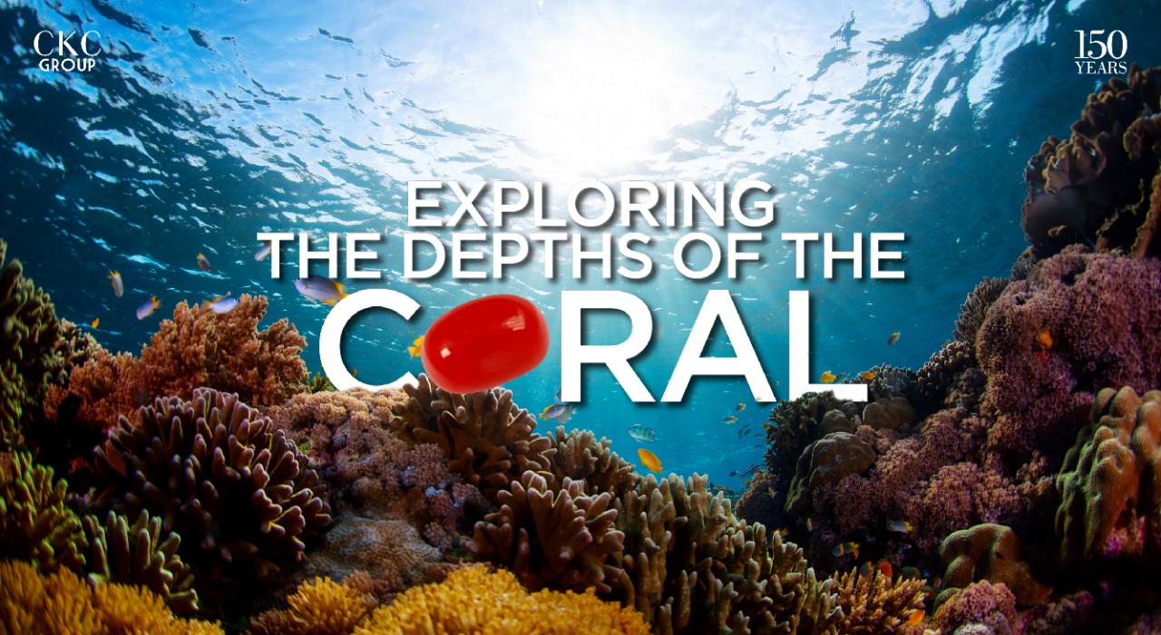 Exploring the Depths of the Coral
