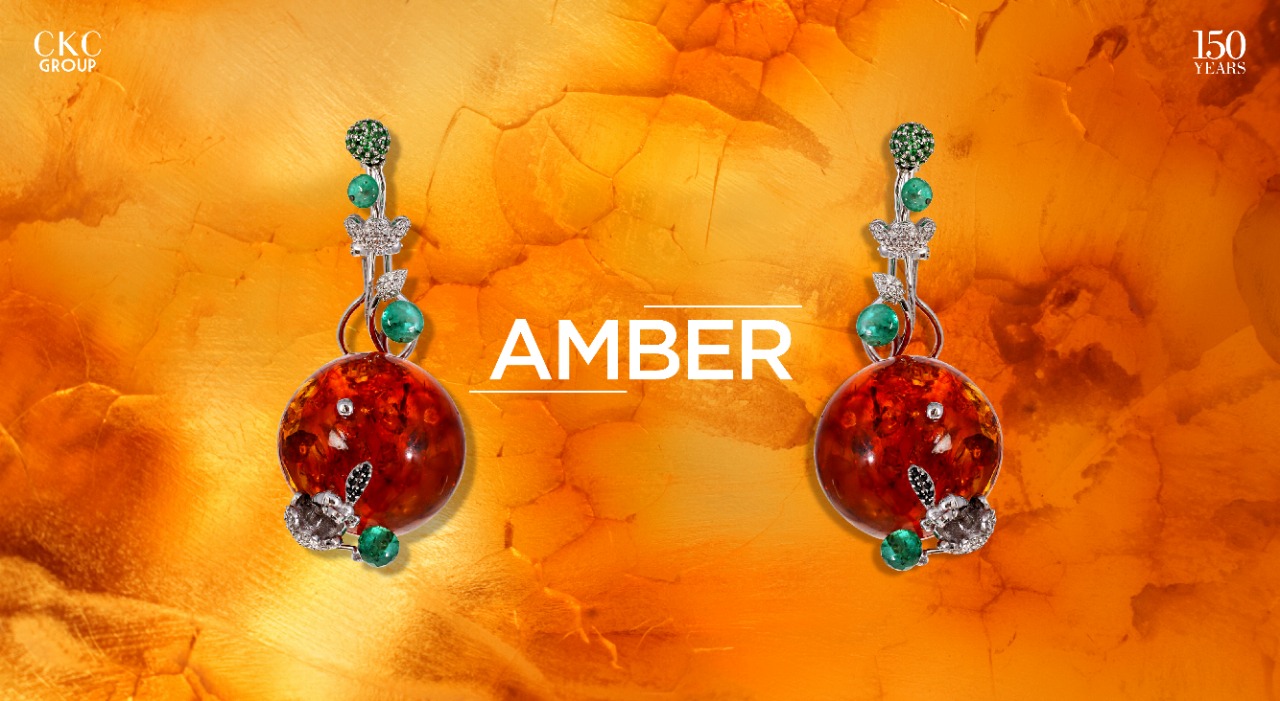 AMBER – The Nature’s Microfilm