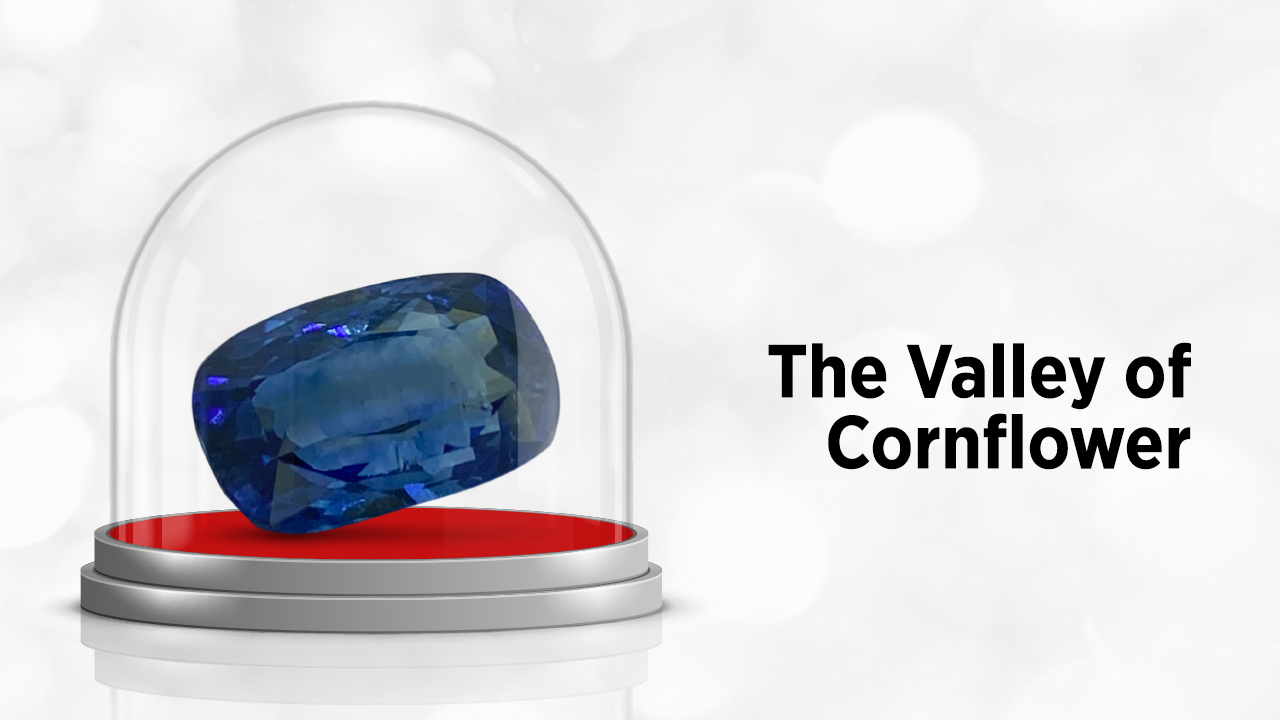 The Valley of Cornflower