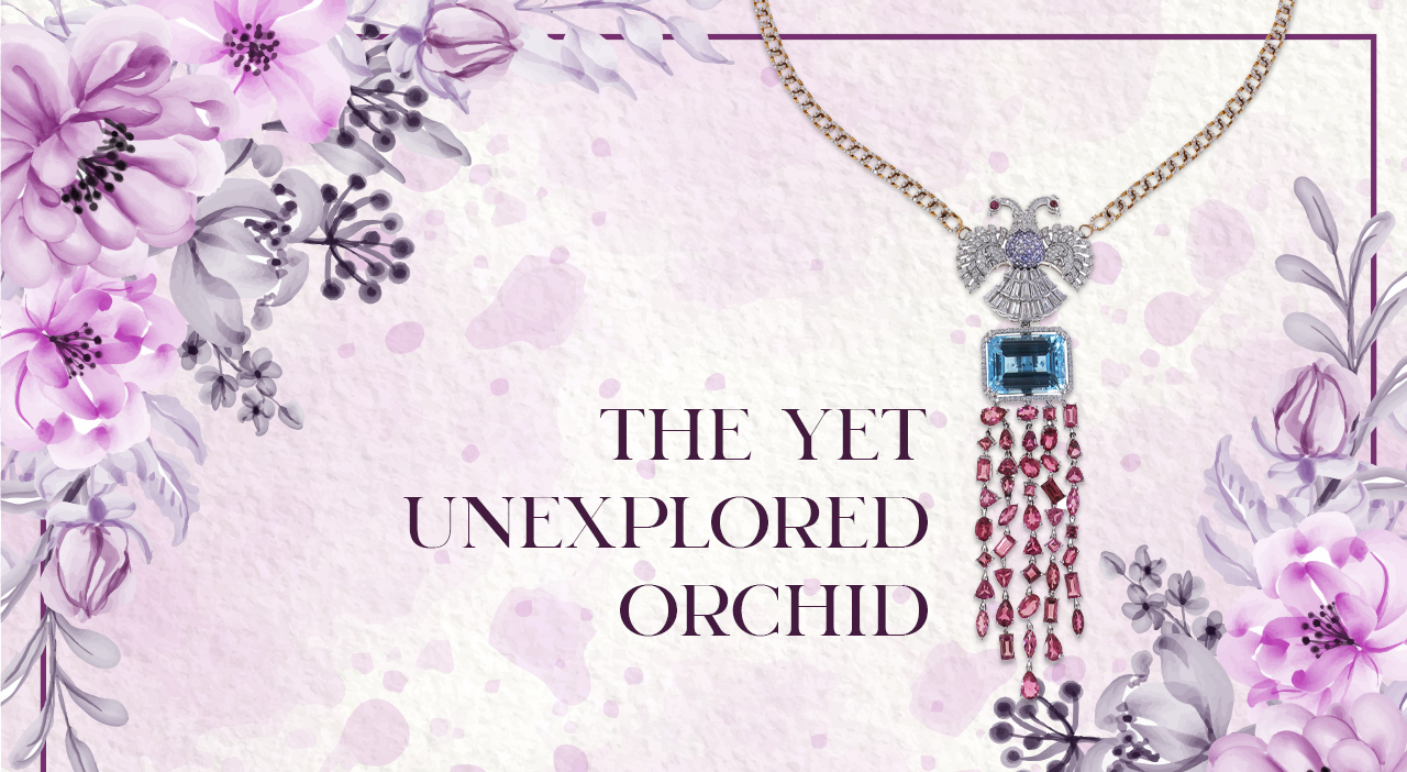 The Yet Unexplored Orchid